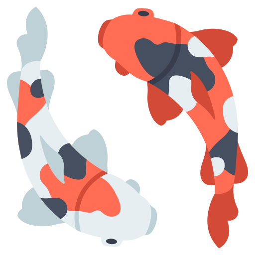 koi